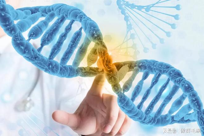 “刷” 出生物医药领域洁净新高度九游会网站傲群医疗器械清洁刷：(图2)