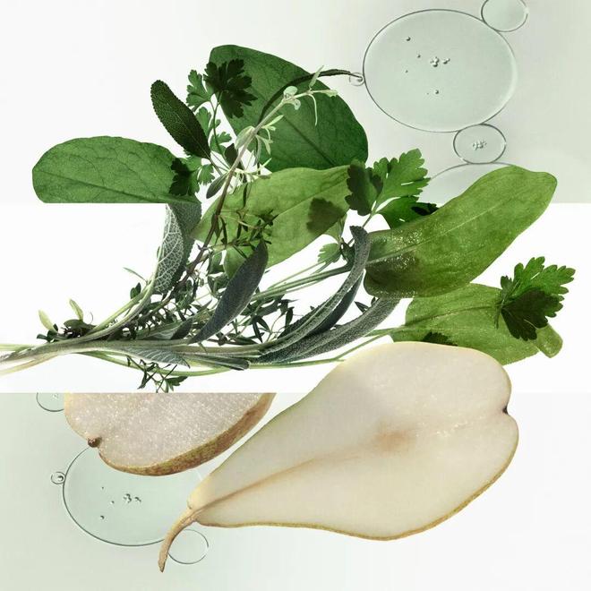 章已启美妆、香氛与腕表共赴闪耀时刻j9国际站登录“伊”手快报 节庆序(图3)